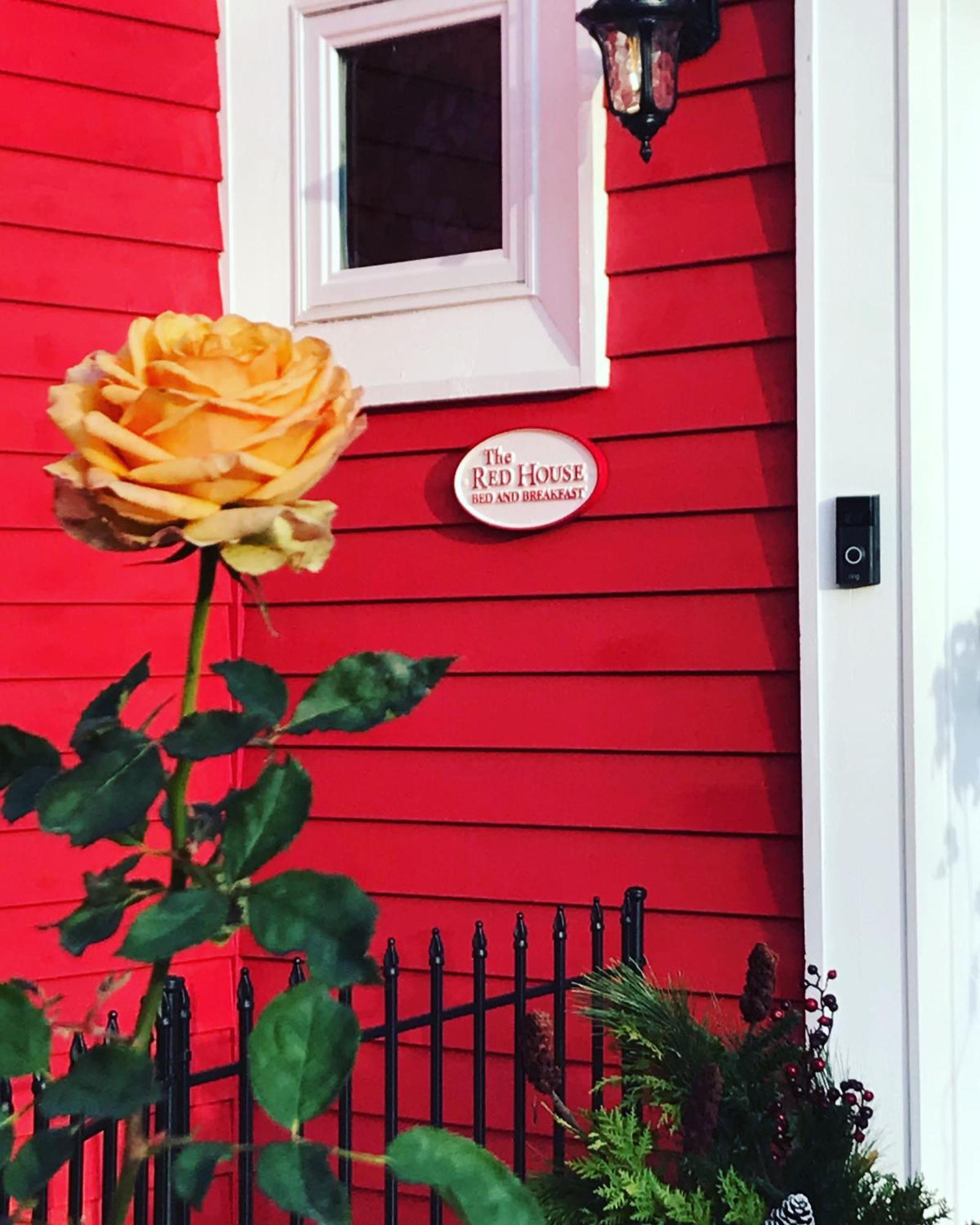 The Red House Fredericton Bed & Breakfast Eksteriør bilde
